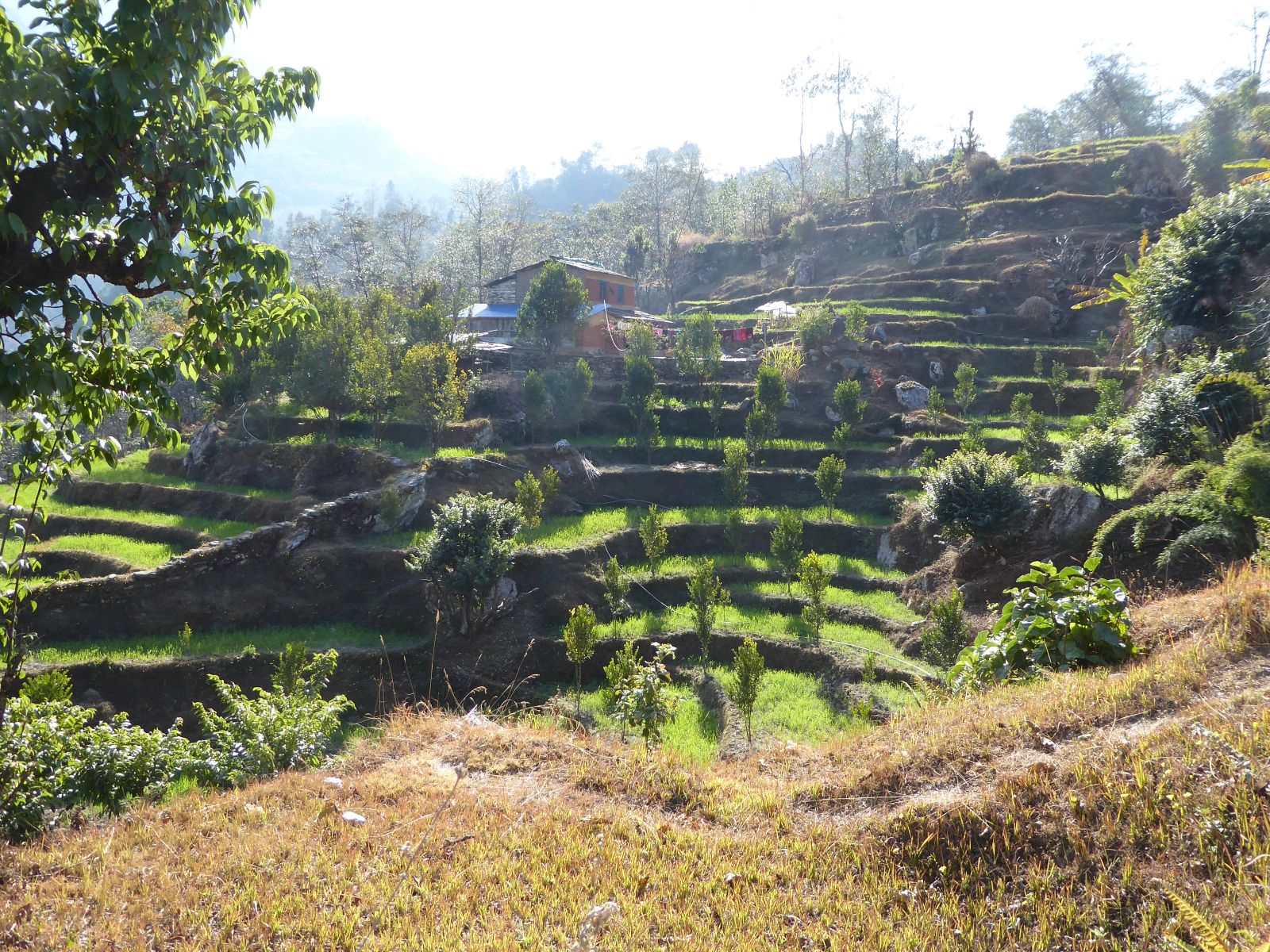 Annapurna Basecamp Bild 1