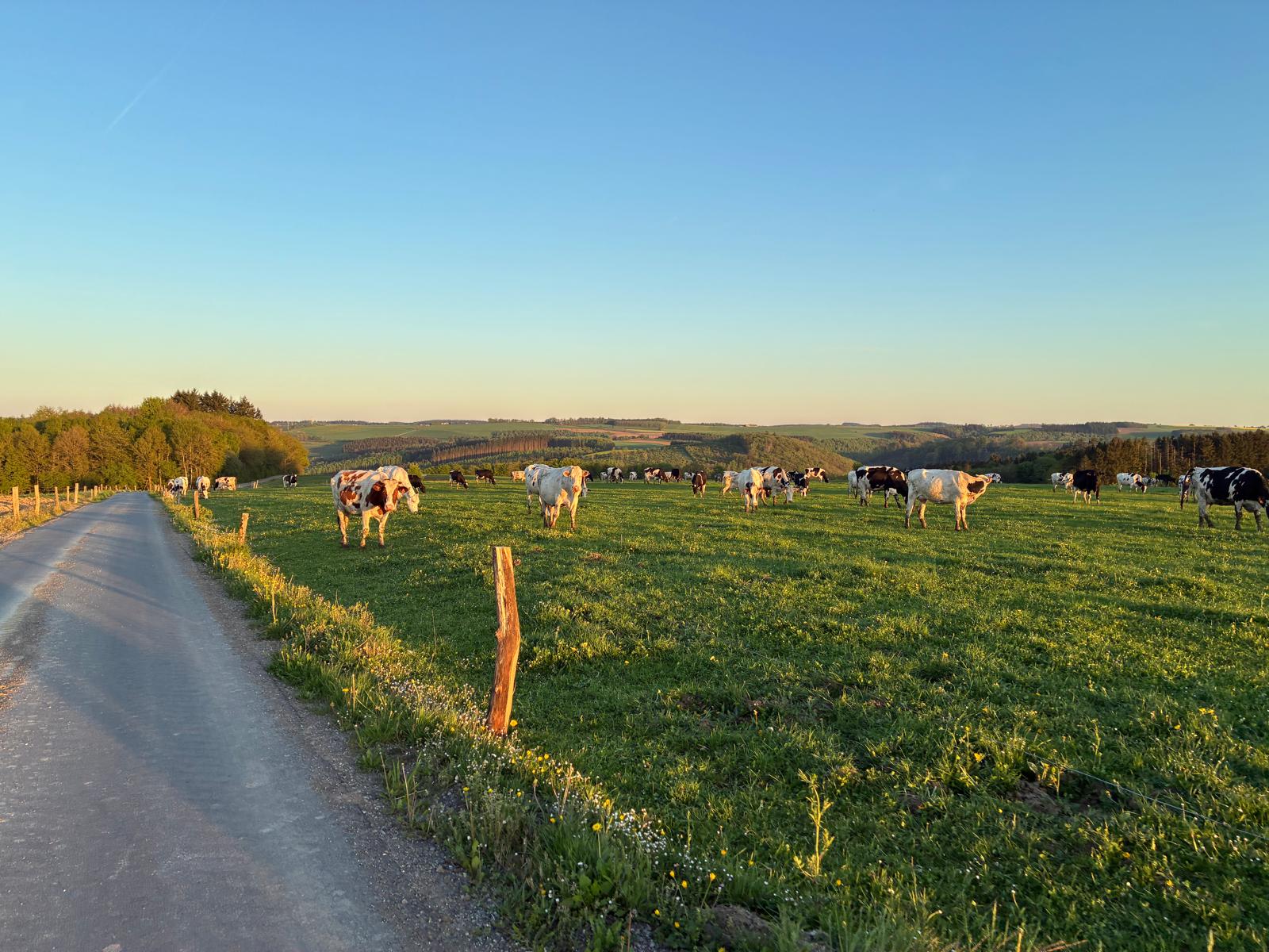 Bikepacking Belgien Ardennen Bild 1