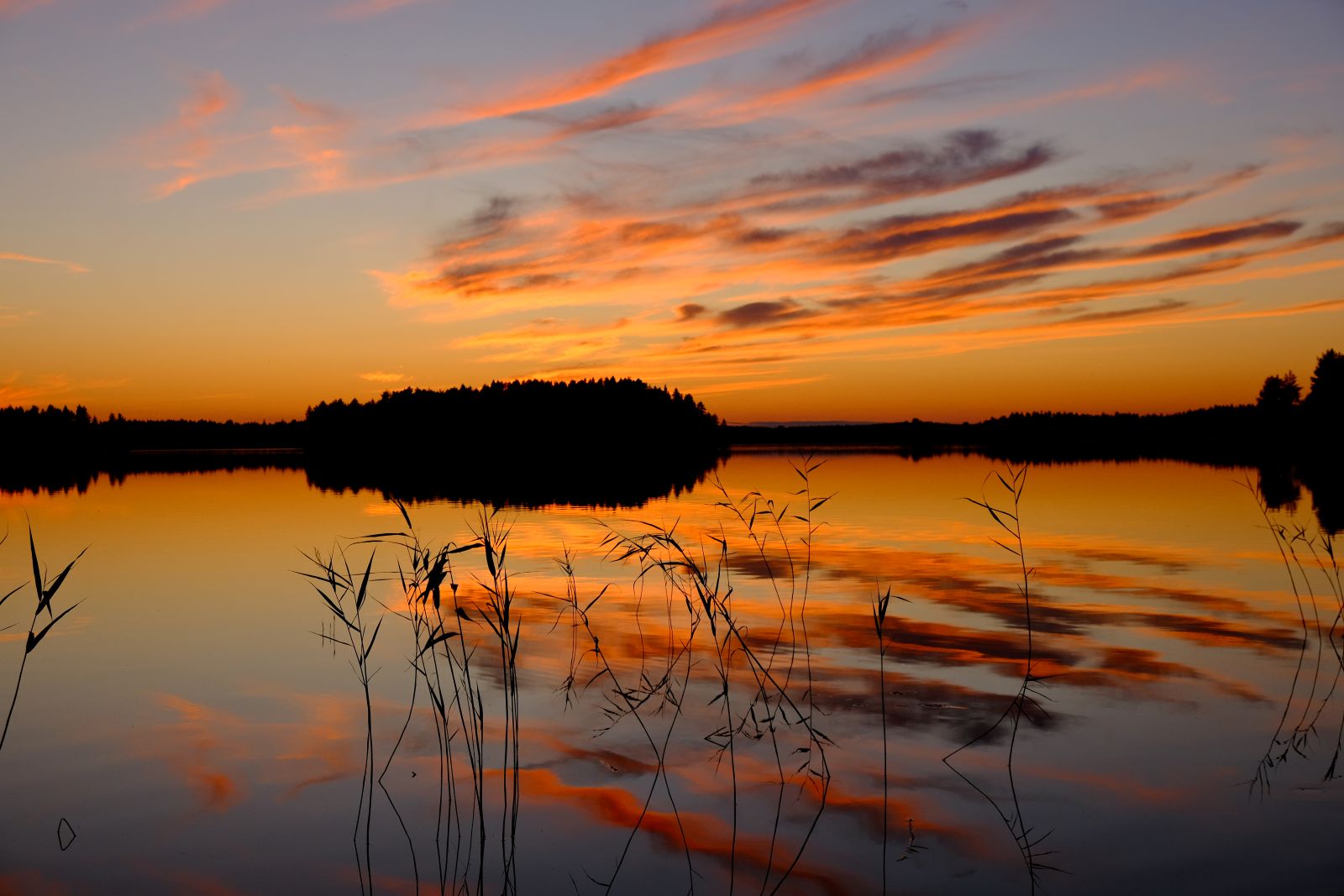 Finnland Koitajoki Bild 3