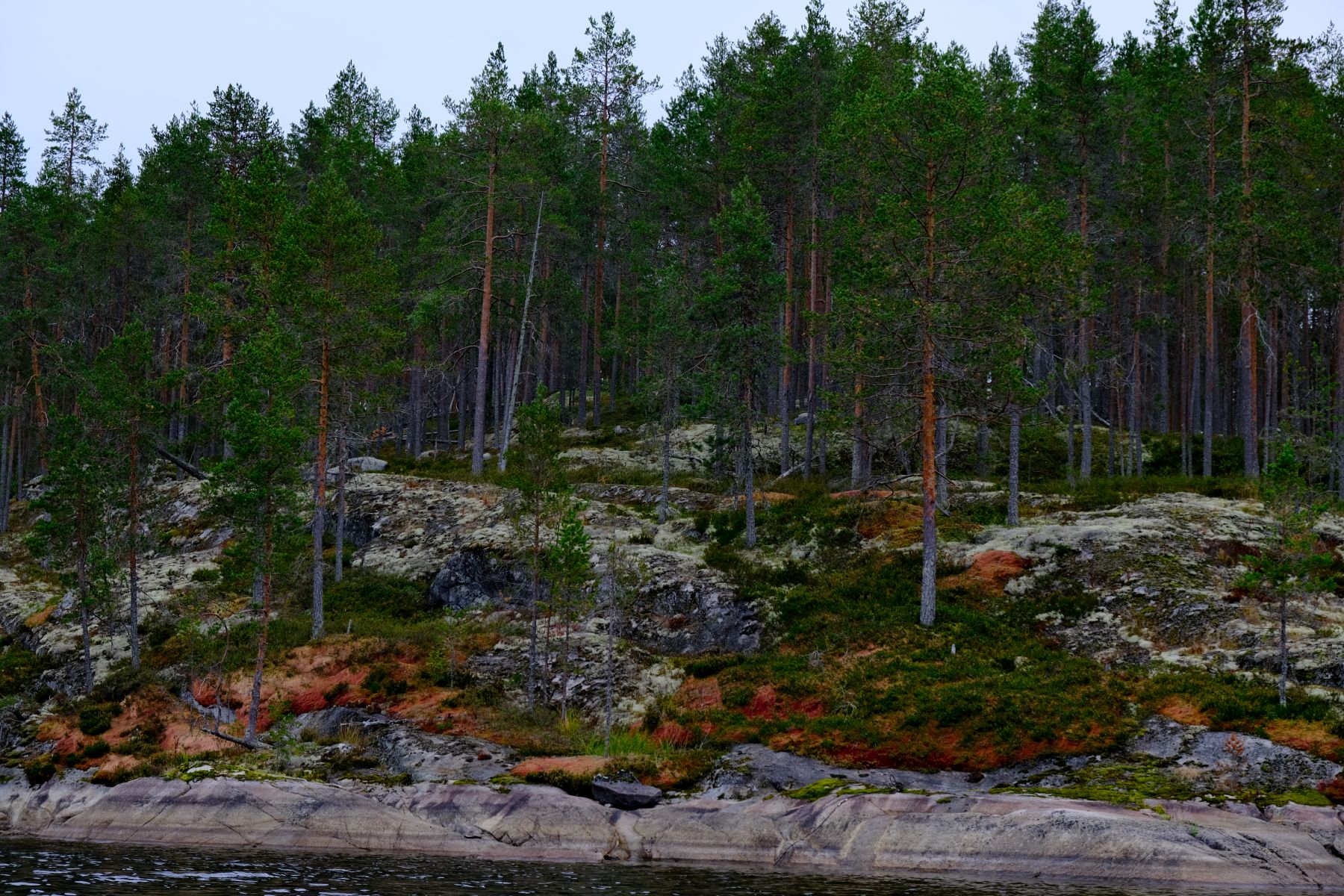 Finnland Kolovesi Bild 6